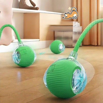 Adjustable Pet Play Ball