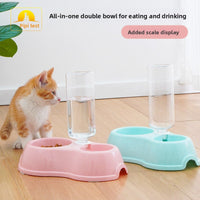 Automatic Pet Food and Water Bowl Set