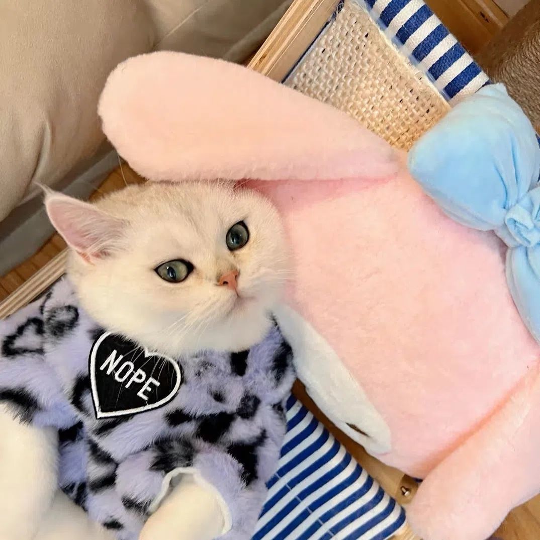 Viskers Pink leopard print Cat clothing