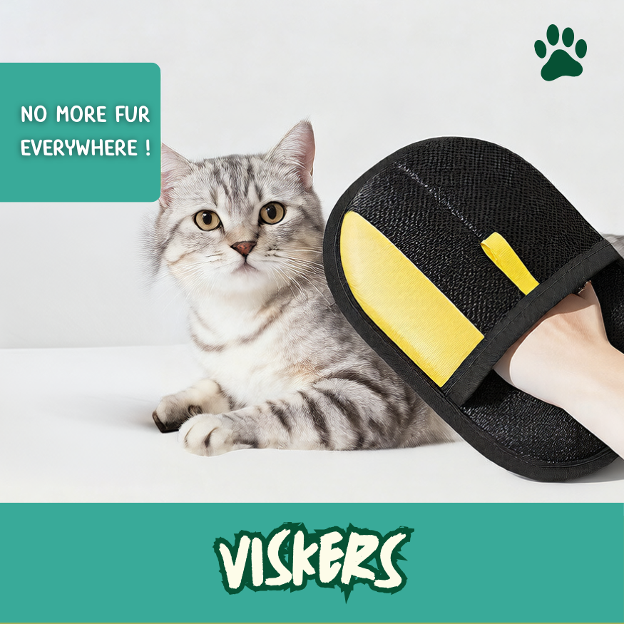Viskers Pet Grooming & Cleaning Glove