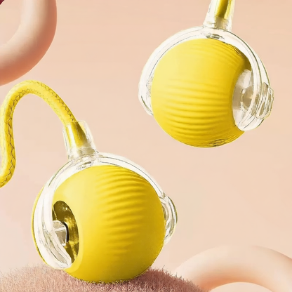 Adjustable Pet Play Ball